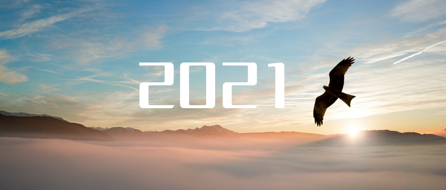 乘“峰”而上，智“盈”未来 ——2021年ballbet贝博环境高级资深副总裁新年开工动员